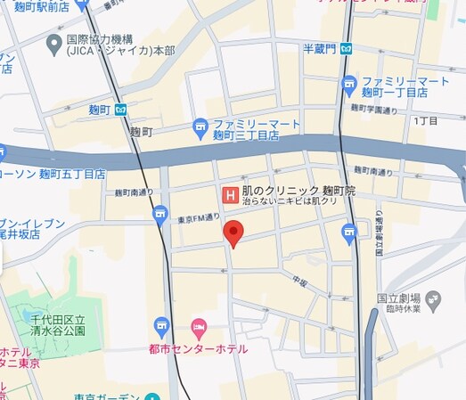 パークハウス平河町の物件内観写真